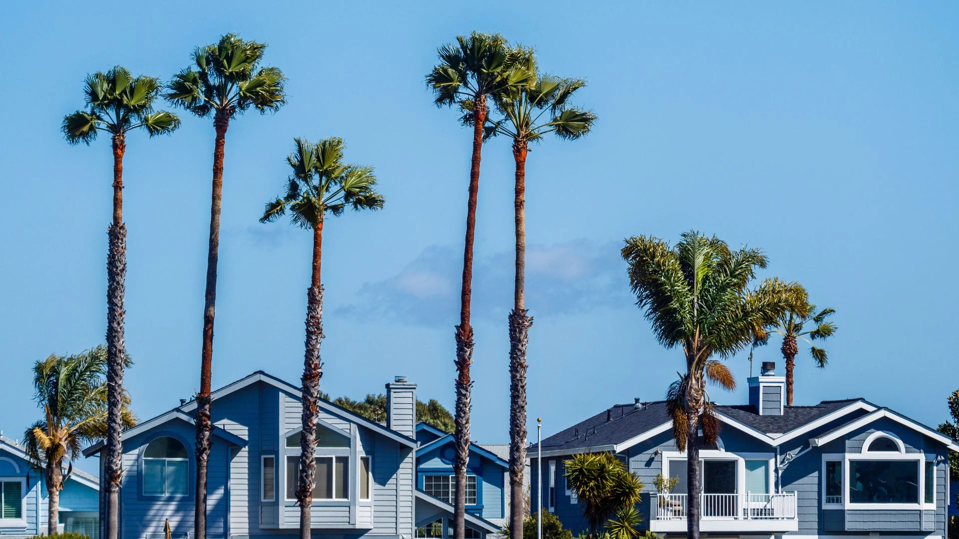Real photo of Southern California coastal homes with tall palm trees under a blue sky — slab leak repair service area in Rancho Palos Verdes, CA
